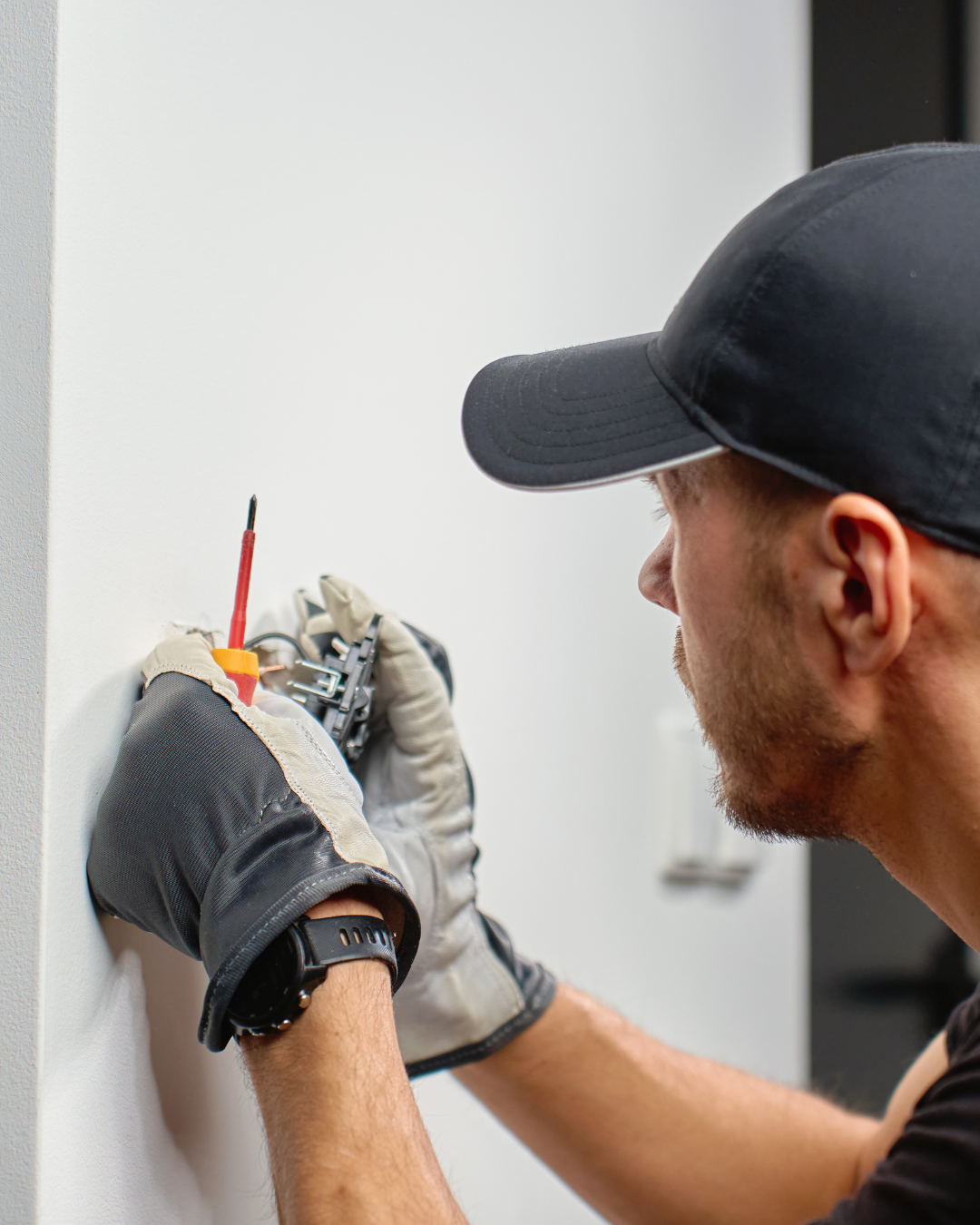 Business Numbers Check